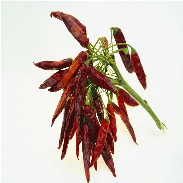 Dry Chili Chaotian Chili Red Pepper for Hot Pot Sichuan Restaurant Raw Material Spice & Herbs