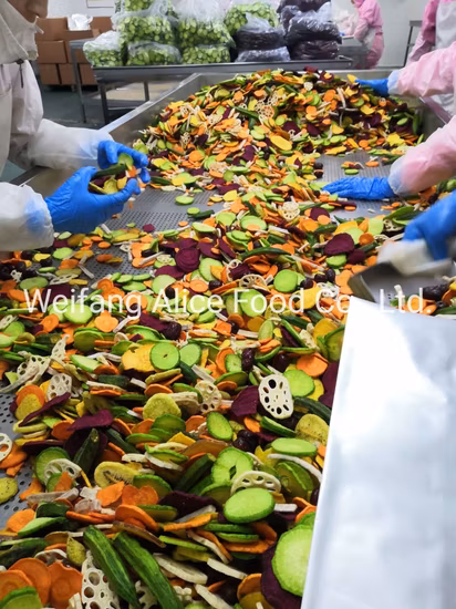 おいしい野菜スナック 真空揚げレンコンチップス